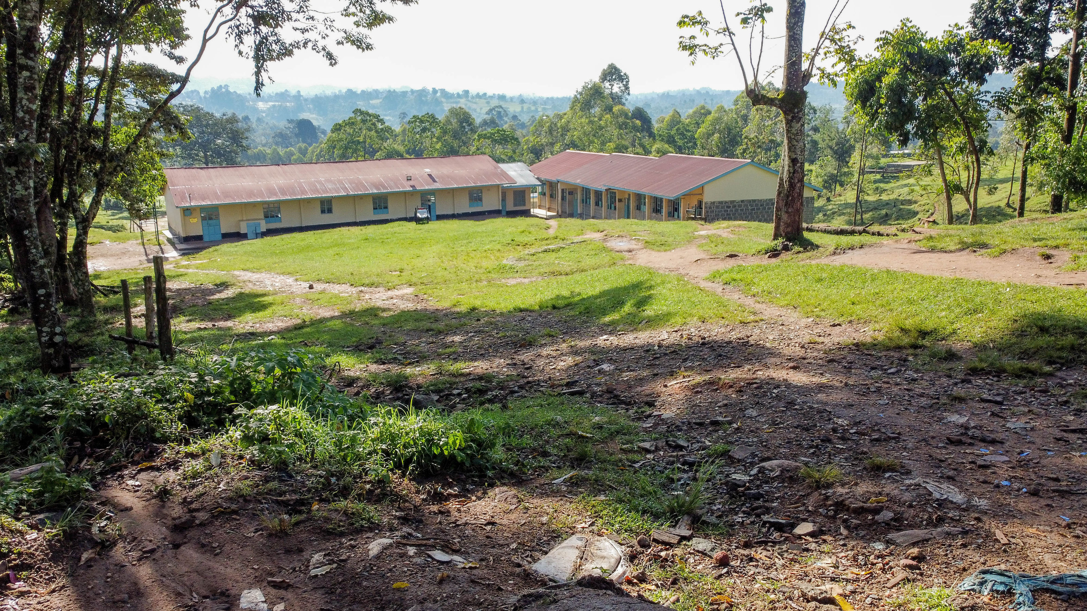 School grounds